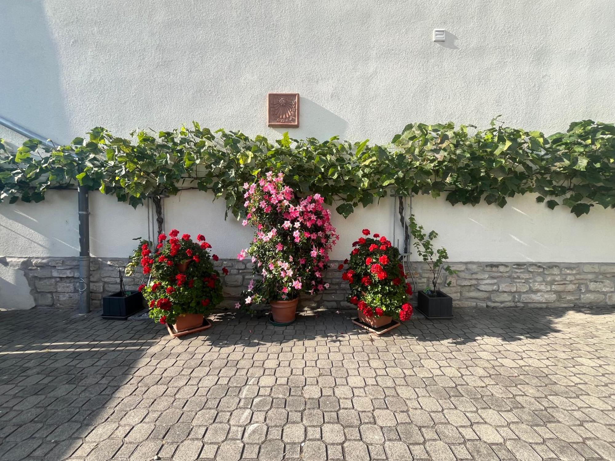 Zimmervermietung Barth Bernburg Exteriör bild